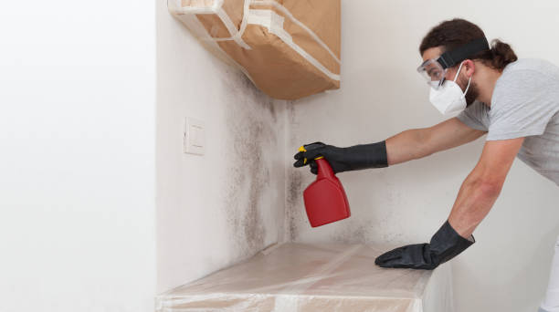 Professional Crawl Space Mold Remediation technician working in Cordova, NC