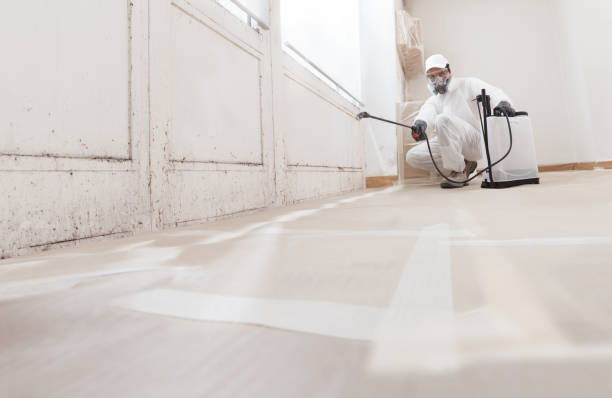24/7 Emergency Crawl Space Mold Remediation experts in Cordova, NC