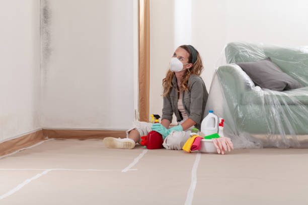 Reliable Crawl Space Mold Remediation contractor in Cordova, NC by Mold Remediation HQ